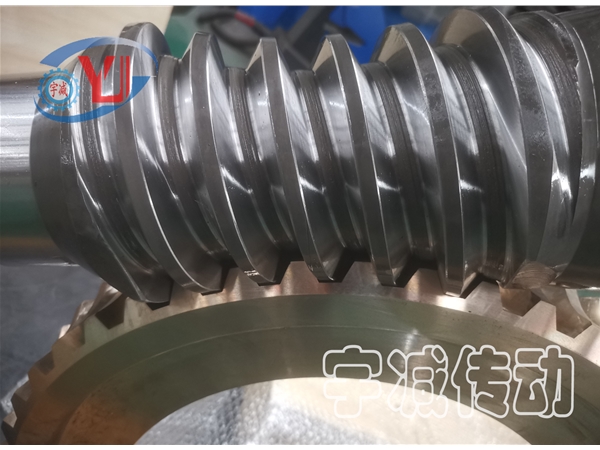 304.8中心距平面二次包络蜗轮副